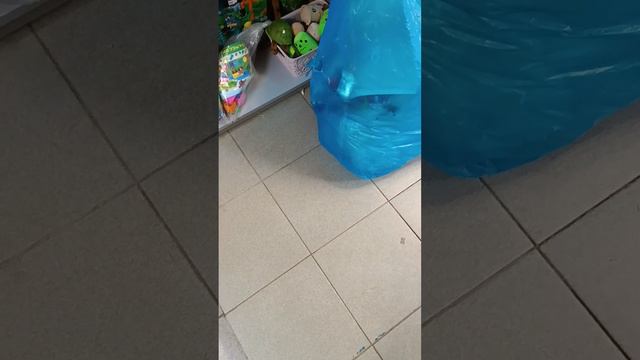 POV:Заказал ход дог без сруколы смотреть онлайн