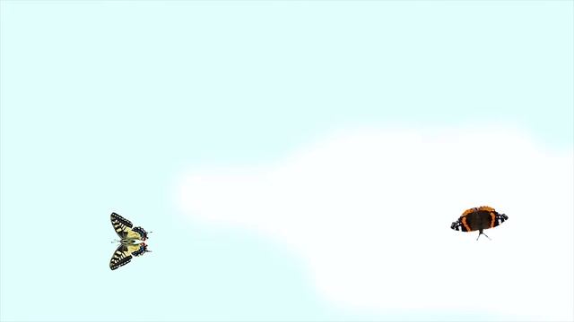 Butterfly Cat Game смотреть онлайн