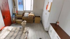 Хитрый кот