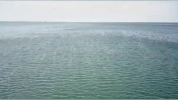 ЗНАМЕНИТАЯ ЦАРЬ МАТРИЦА П.П.ГАРЯЕВА ДЛЯ ИСЦЕЛЕНИЯ ВСЕГО ОРГАНИЗМА matrix for the healing of diseas