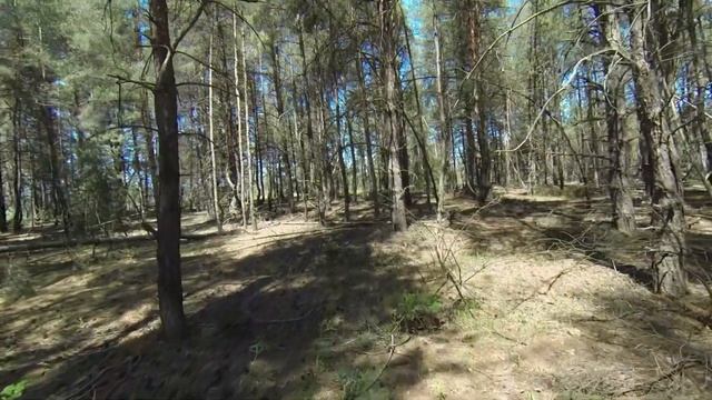 За грибами и травами 2020 смотреть онлайн