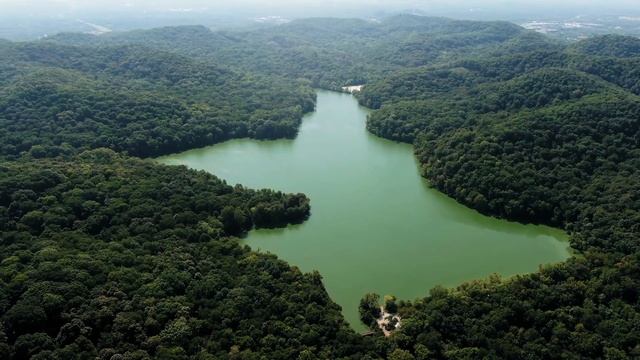 Берегите планету смотреть онлайн
