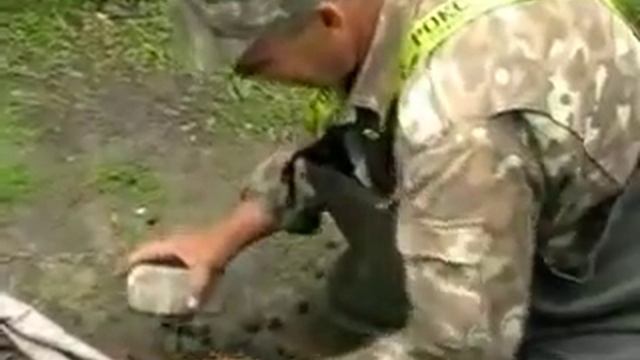 рыбалка2.flv смотреть онлайн