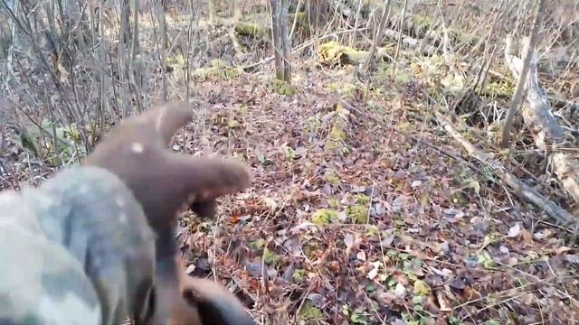 Металлокоп в забытой деревушке! смотреть онлайн