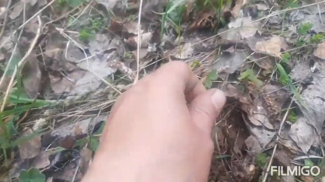 Поездка в заброшенную деревню на Скаут-Спарк. смотреть онлайн