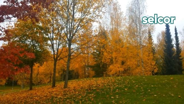 Лахти - Зелёная столица Европы 2021 : Октябрь смотреть онлайн