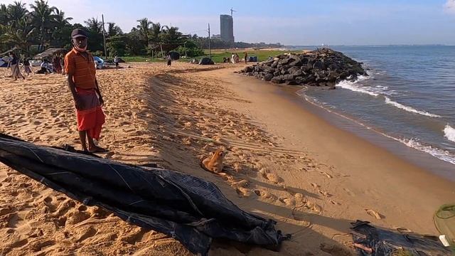 Шри-Ланка Сегодня. Это Негомбо. Цены на рыбном рынке (креветки, крабы, устрицы, кальмары) смотреть онлайн