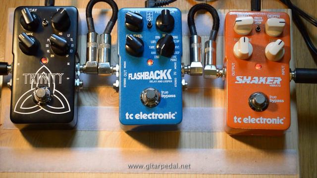 TC Electronic Shaker Vibrato & Flashback Delay & Trinity Reverb смотреть онлайн