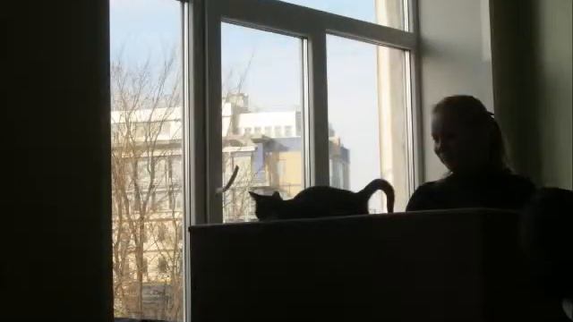 СТУДЕНТЫ ВГАВТ посл звонок видео-!!!!!.mp4 смотреть онлайн