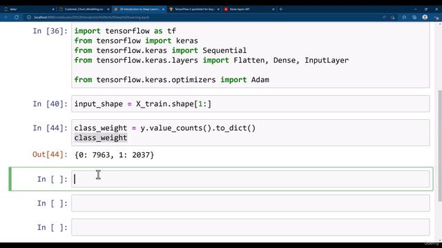 48 How to Get Input Shape and Class Weights смотреть онлайн