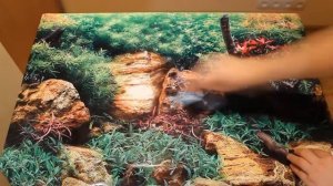 КЛЕИМ АКВАРИУМНЫЙ ФОН ГЛИЦЕРИНОМ. Sticking background glycerin. Аквариум 150 л. готовим к запуску.