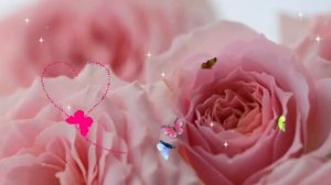 Ирина,Ира,Ирочка. С днём рождения!