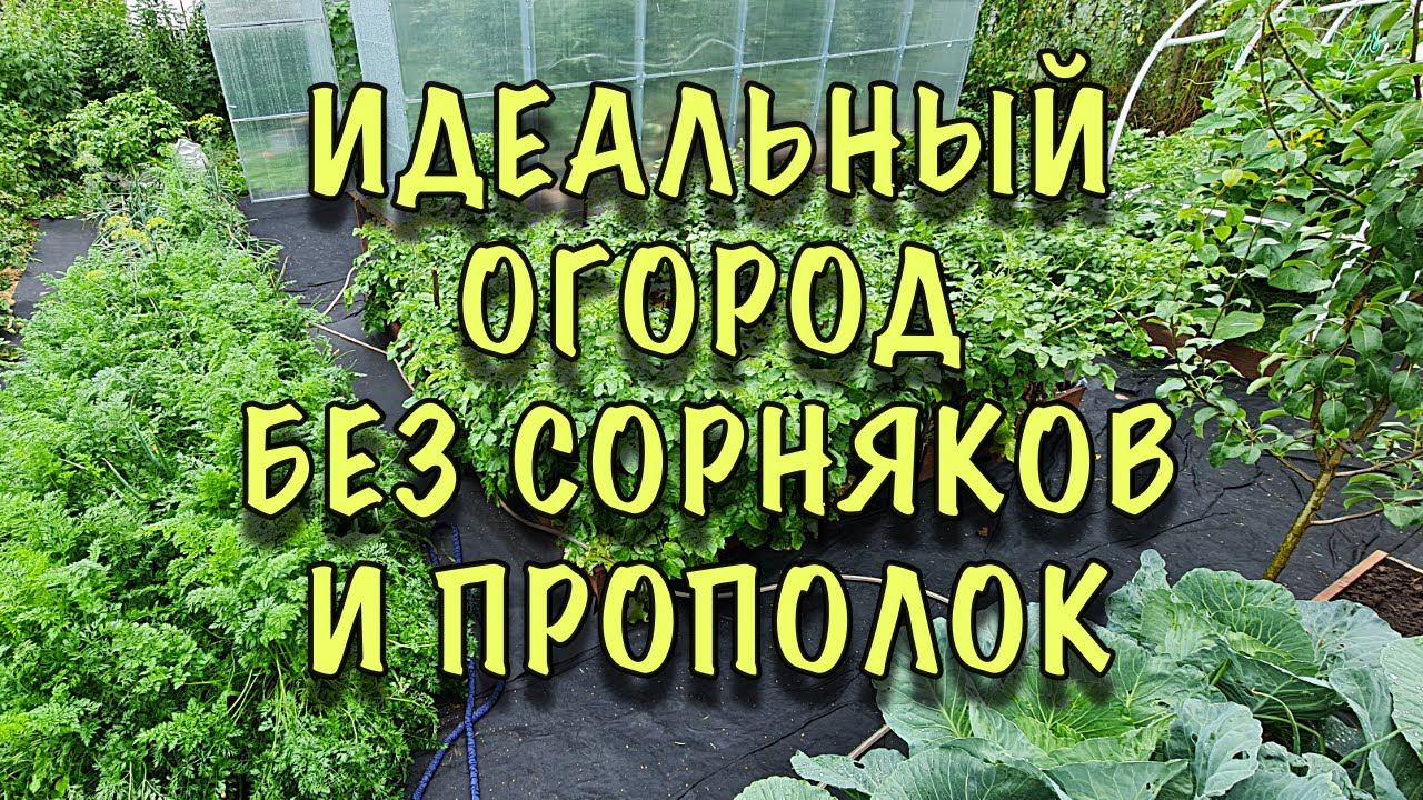 ЕВРОПЕЙСКИЙ ОГОРОД своими руками! Без СОРНЯКОВ и МУЧИТЕЛЬНЫХ прополок! смотреть онлайн