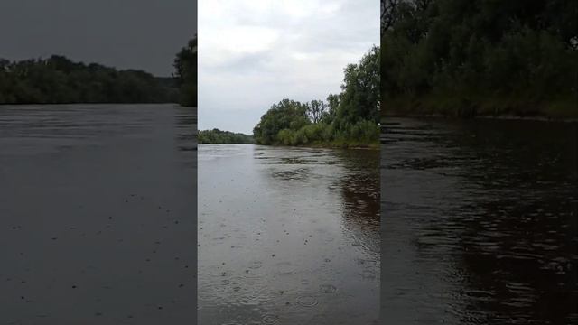Капли дождя на реке. Сплав на плоту. смотреть онлайн