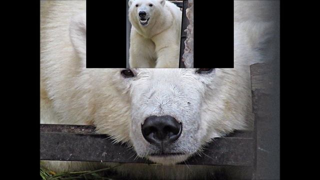 Ростик, мы тебя помним и очень любим! 08.01.2019 смотреть онлайн