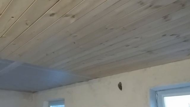 04.05.2019 - СПАНЛАЙТ В (ИЗОСПАН В) смотреть онлайн