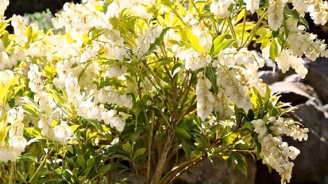 27 сентября - Воздвижение Честного и Животворящего Креста Господня! смотреть онлайн