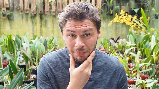 Teil 2 - Das grosse Orchideen Frage & Antwort Video смотреть онлайн