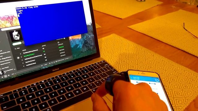 Ring ZERO using echo server demo смотреть онлайн