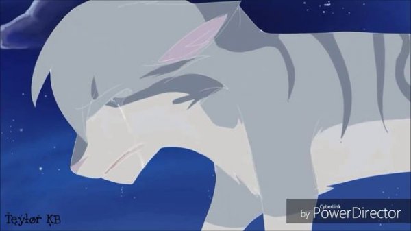 |COMPLETE WARRIORS CATS MEP|~«Тело»