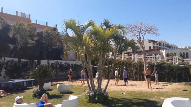 Отдых у Красного моря смотреть онлайн