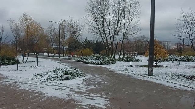 Запорожье НОЧЬ В ХОЛОДИЛЬНИКЕ 20.11.2023 смотреть онлайн