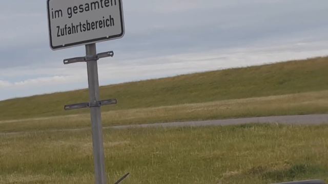 Ромашковое Лето!