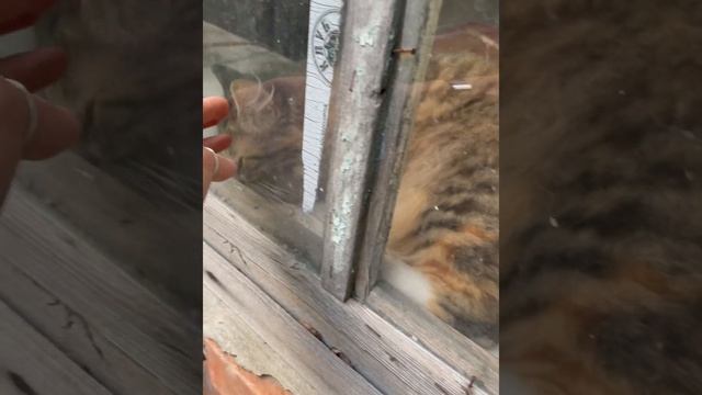 Продолжение убираем строим камин . Приятного просмотра ( ремонт старого дома в селе ) смотреть онлайн