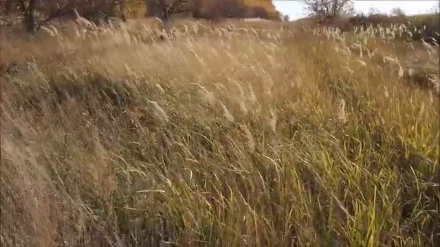 Понятие философии ее предмета и метода смотреть онлайн