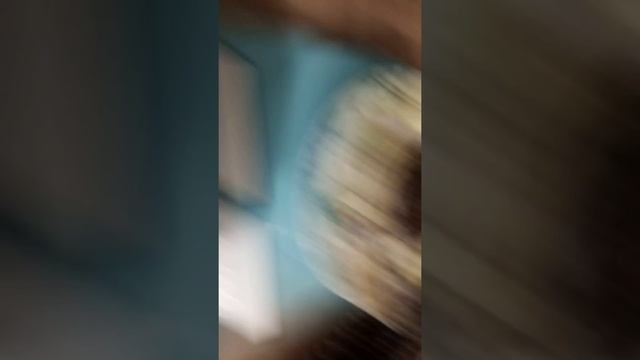 Как увеличить размер печенья чоко пай смотреть онлайн