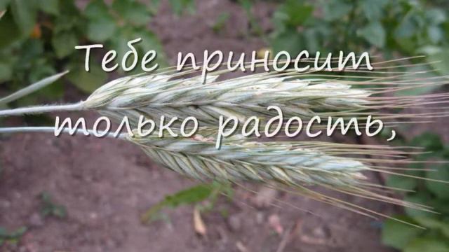 День рождения июль смотреть онлайн
