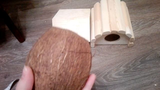 Содержание сирийского хомяка?? смотреть онлайн