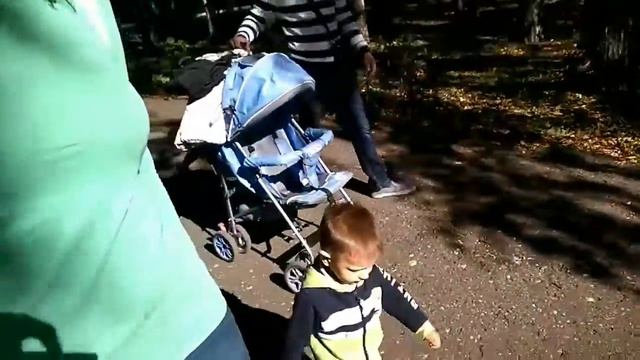 Пензенский зоопарк. 23.09.2017 год. смотреть онлайн