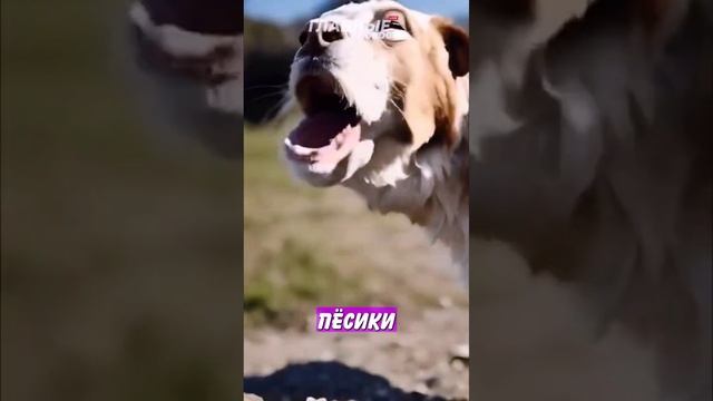 ? Искусственный интеллект испугал своими результатами! | Новостничок смотреть онлайн