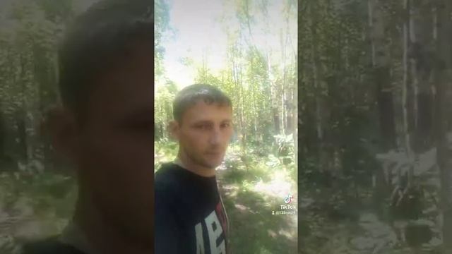 #ягода #черника смотреть онлайн