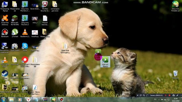 как скачать пейт ту сай бесплатно смотреть онлайн