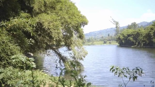 I Married My Sister To Save My Family Now We Have 4 Children : THE SIBLINGS COUPLE смотреть онлайн