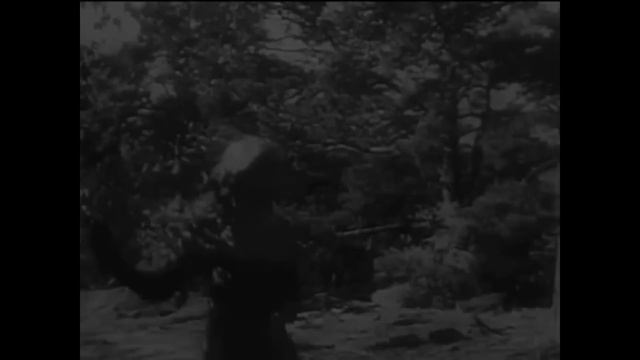 Песня на все времена!!! КРИК ЖУРАВЛЕЙ Игорь Ашуров смотреть онлайн