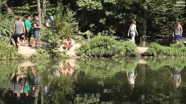 Черепашье озеро в Крыму. Красноухая черепаха || Turtle lake in the Crimea. Red-eared turtle. смотреть онлайн