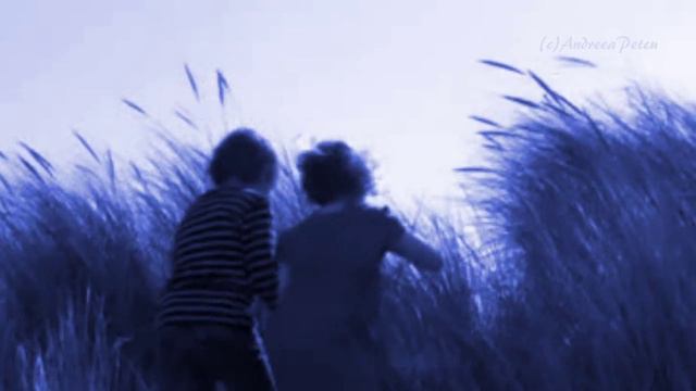 GIOVANNI MARRADI - A Child's Dream смотреть онлайн