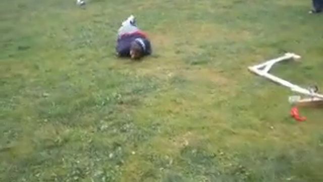 sedlak crash смотреть онлайн