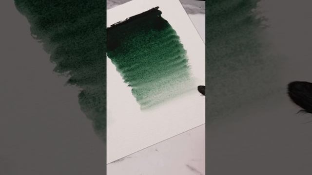 Акварель «Белые ночи» цвет №761 Таежная дымка? #невскаяпалитра #белыеночи #shorts смотреть онлайн