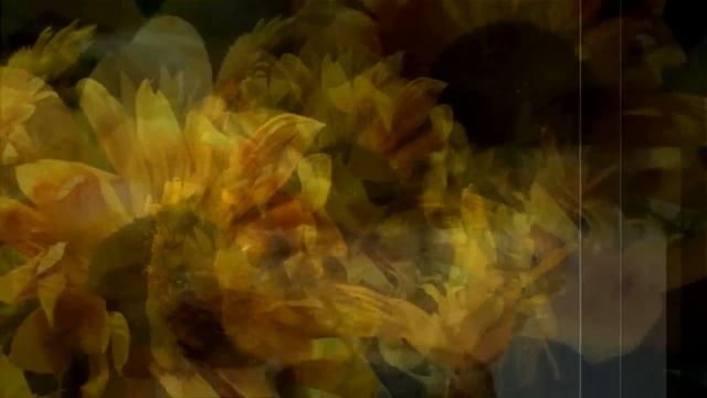 Шуберт - Музыкальный момент N3 фа-минор D 780 смотреть онлайн