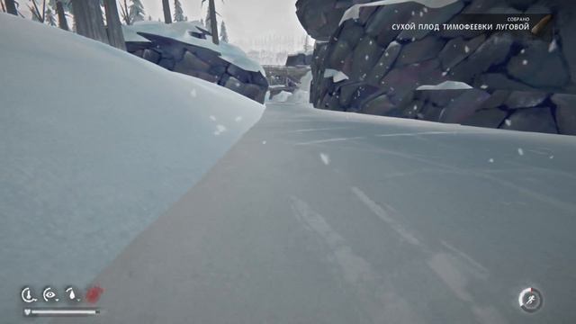 The Long Dark: Незваный гость. День 1-10. смотреть онлайн