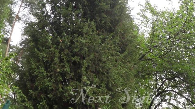 ФОЛЬГА для ЗАПЕКАНИЯ и БИТУМНЫЙ лак! Получилась АНТИЧНАЯ БРОНЗА! /МК вазы смотреть онлайн