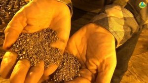 ТОРФЯНЫЕ СМЕСИ АГРОБАЛТ-C И ВЕРМИКУЛИТ (30-11-2018)