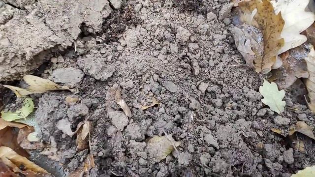 01.12 .2020. НОВІ МІСЦЯ ,НОВІ ЗНАХІДКИ смотреть онлайн