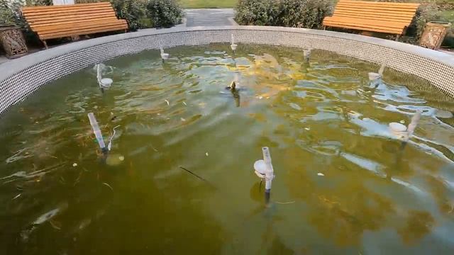 Ташкент. Как меняется наш Дворец Авиастроителей. смотреть онлайн