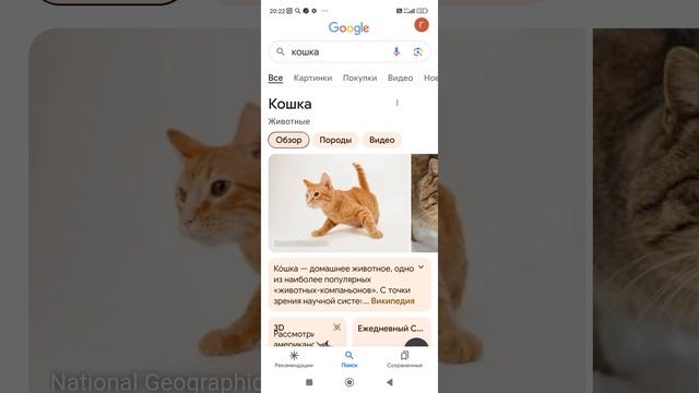 секрет гугла. смотреть онлайн