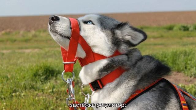 Укорачивание и растяжка одежды